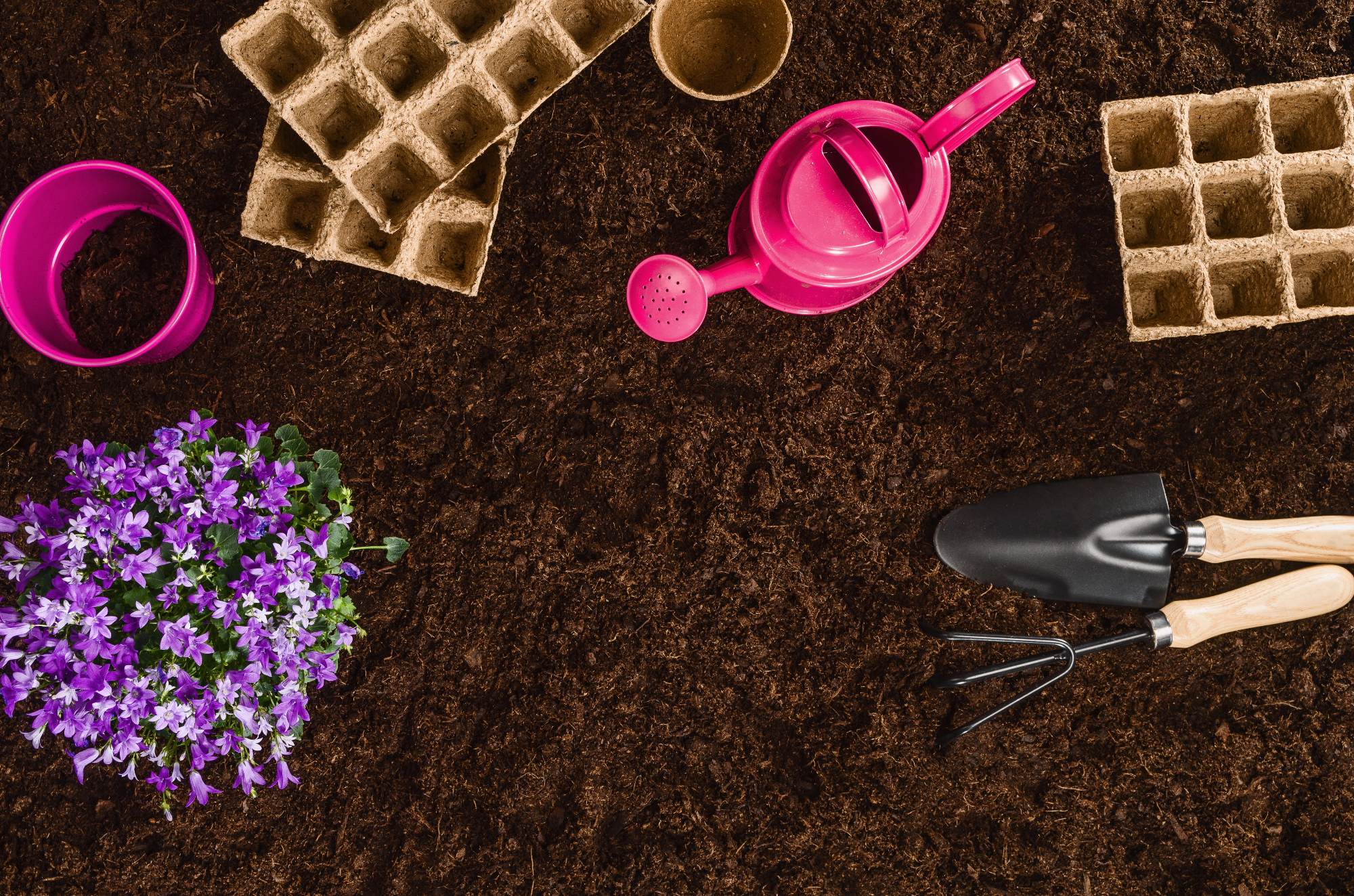 Dodatki za vrt, ki prostoru dajo značaj in toplino